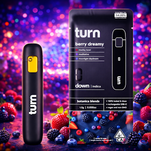TURN - TURN Disposable 1g - Berry Dreamy 90%