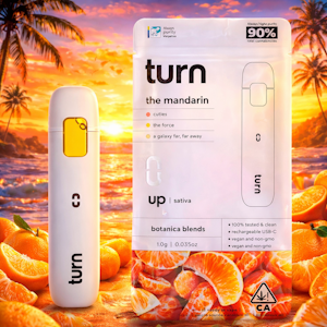 TURN - TURN Disposable 1g - The Mandarin 87%