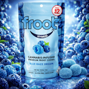 Froot Gummies - Blue Razz Dream 100MG