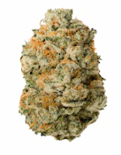 Orion | Prepacked Flower | 3.5g | Dizgo Collective