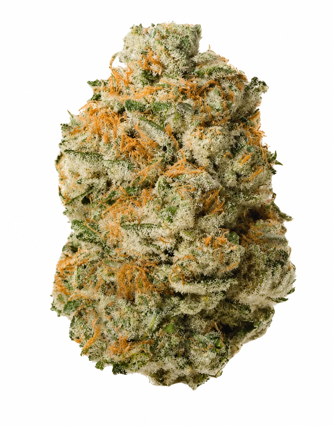 Dizgo - Orion | Prepacked Flower | 3.5g | Dizgo Collective Main Image