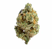 Medusa | Prepacked Flower | 3.5g | Dizgo Collective
