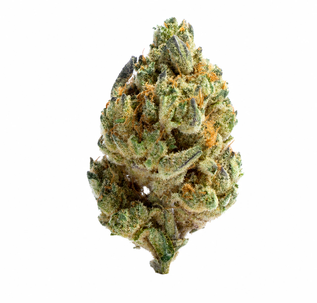 Dizgo - Medusa | Prepacked Flower | 3.5g | Dizgo Collective Main Image