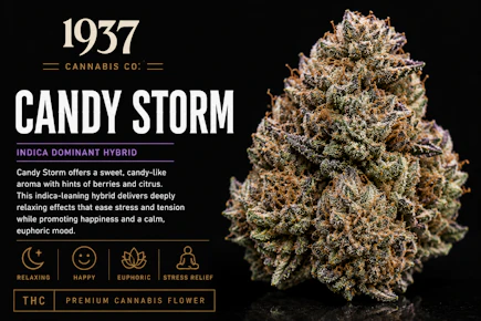 1937 | 3.5g Mylar | Candy Storm