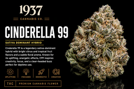 1937 | 3.5g Mylar | Cinderella 99