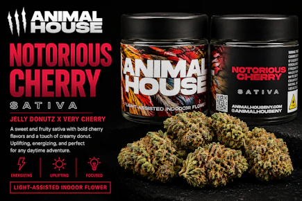 Animal House | 3.5g Flower Jar | Notorious Cherry | Sativa-Hybrid