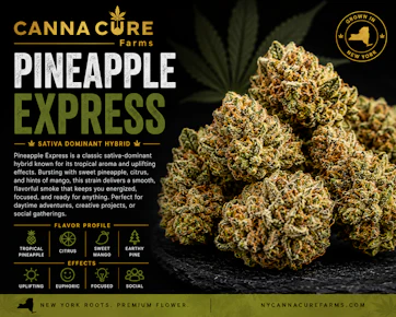 Canna Cure | 0.7g Mylar Dime Bag | Pineapple Express