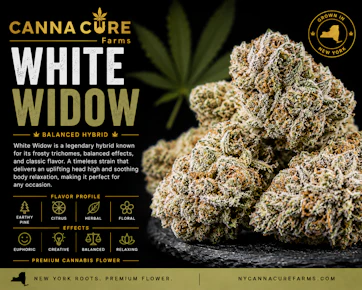 Canna Cure | 0.7g Mylar Dime Bag | White Widow