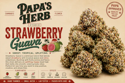 Papa's Herb | 28g Mylar | Strawberry Guava
