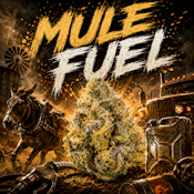 $5 Gram Mule Fuel