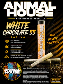 Animal House | 3pk - 0.5g Infused Prerolls | White Chocolate 55 | Sativa-Hybrid