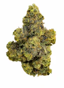 Purple Octane | Flower Case | Pre-Packed 4g (Campfire Cannabis)