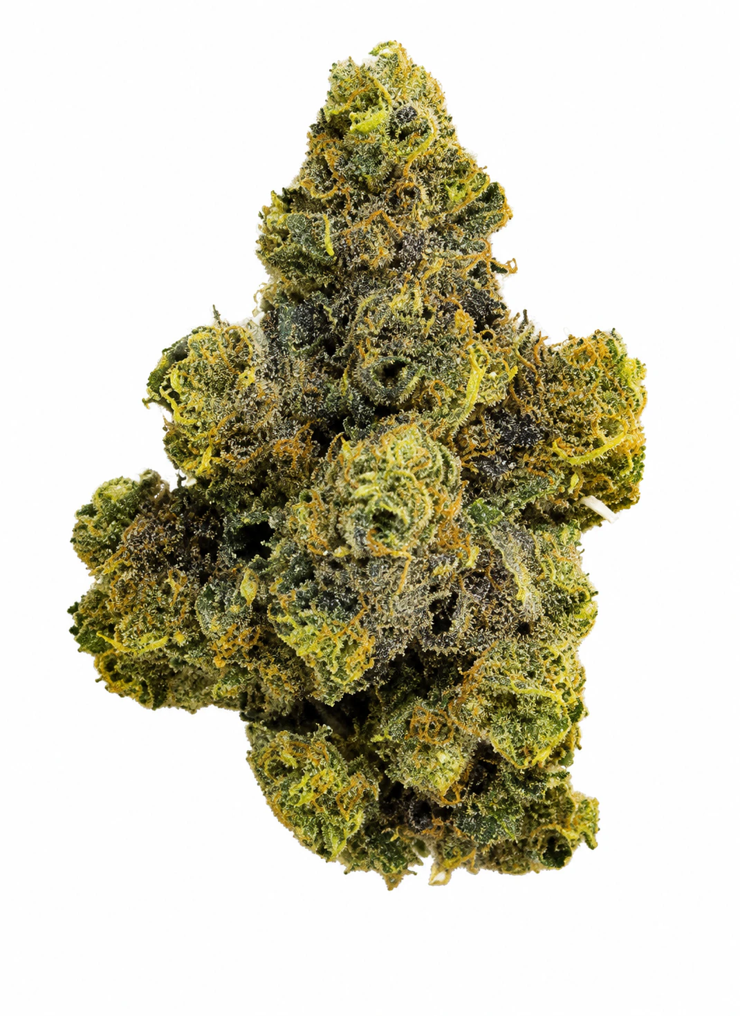 Campfire Cannabis - Purple Octane | Flower Case | Pre-Packed 4g (Campfire Cannabis) Main Image