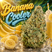 $5 Gram Banana Cooler