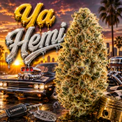 $5 Gram Ya Hemi