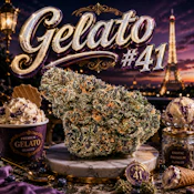$5 Gram Gelato #41