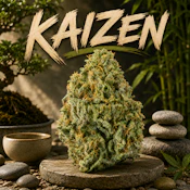Kaizen