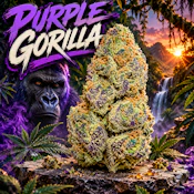 $5 Gram Purple Gorilla