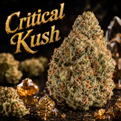 Critical Kush