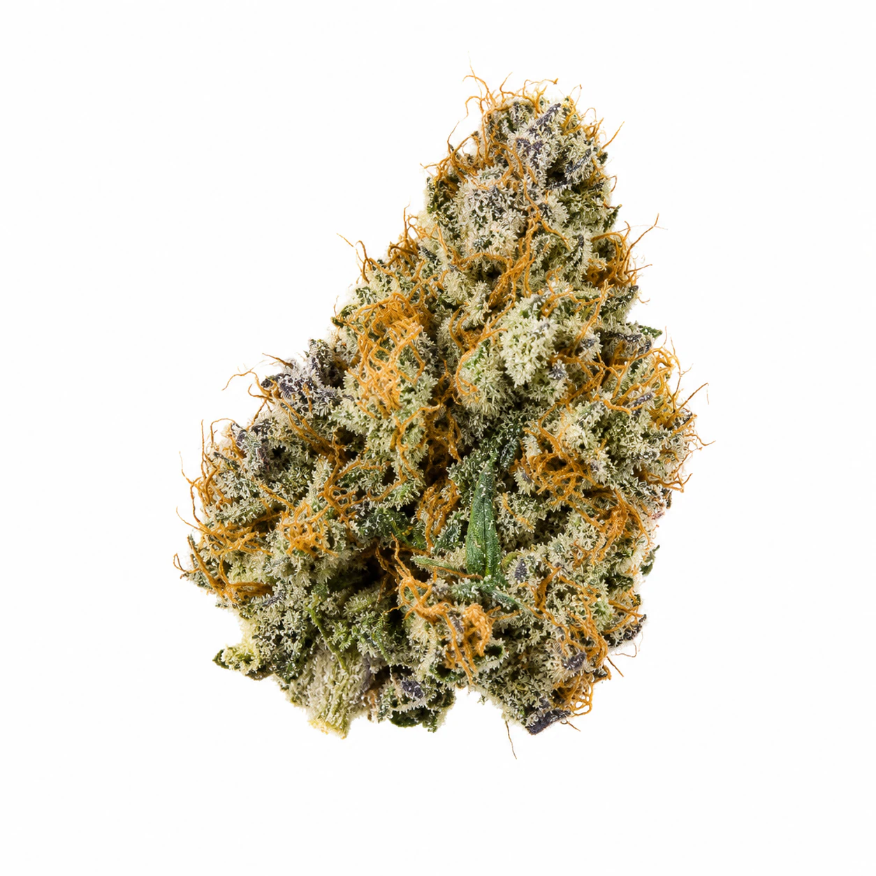 Campfire Cannabis - Gary Payton | Flower Case | Pre-Packed 4g (Campfire Cannabis) Main Image