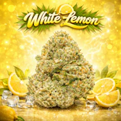 $5 Gram White Lemon