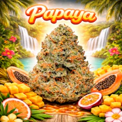 Papaya