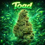 Toad