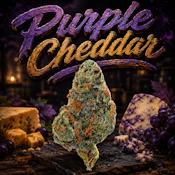 Purple Cheddar