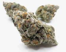 BLUE WARHEADZ - TURNTABLES SUPREME SHELF FLOWER 2G 