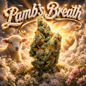 Lamb's Breath