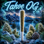 Tahoe OG | Pre-Roll