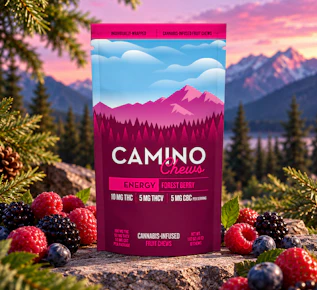 Camino | 10pk Chews | Forest Berry 'Uplifting' | 100mg