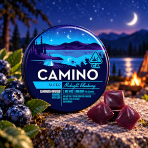 Camino | 20pk Gummies | Midnight Blueberry "Sleep" | 100mg