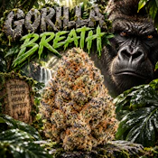 Gorilla Breath | Online Online!