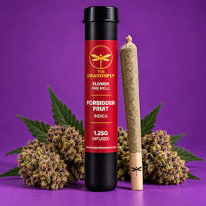 Dragonfly | 1.25g Infused Preroll | Forbidden Fruit