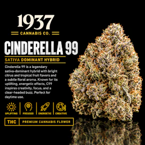 1937 | 3.5g Mylar | Cinderella 99