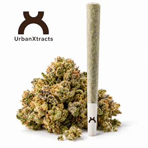 UrbanXtract | 1g Pre-Roll | Black Orchard |