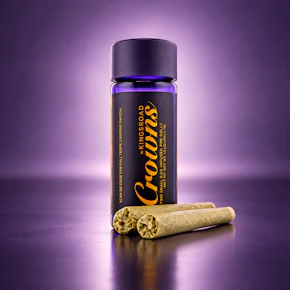 Kingsroad | 2pk - 0.5g Infused Preolls | Skywalker Cookie Dog x Lemon Cherry Gelato | Indica-Hybrid
