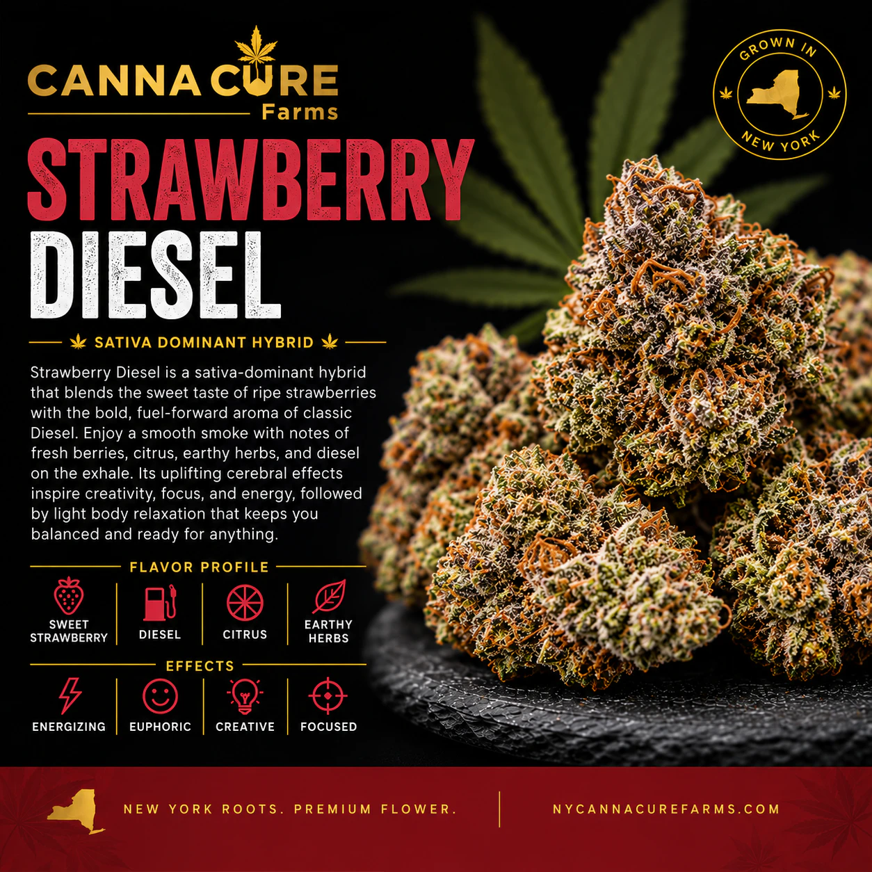 Canna Cure Farms LLC - Canna Cure | 0.7g Mylar Dime Bag | Strawberry Diesel Main Image