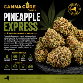 Canna Cure | 0.7g Mylar Dime Bag | Pineapple Express