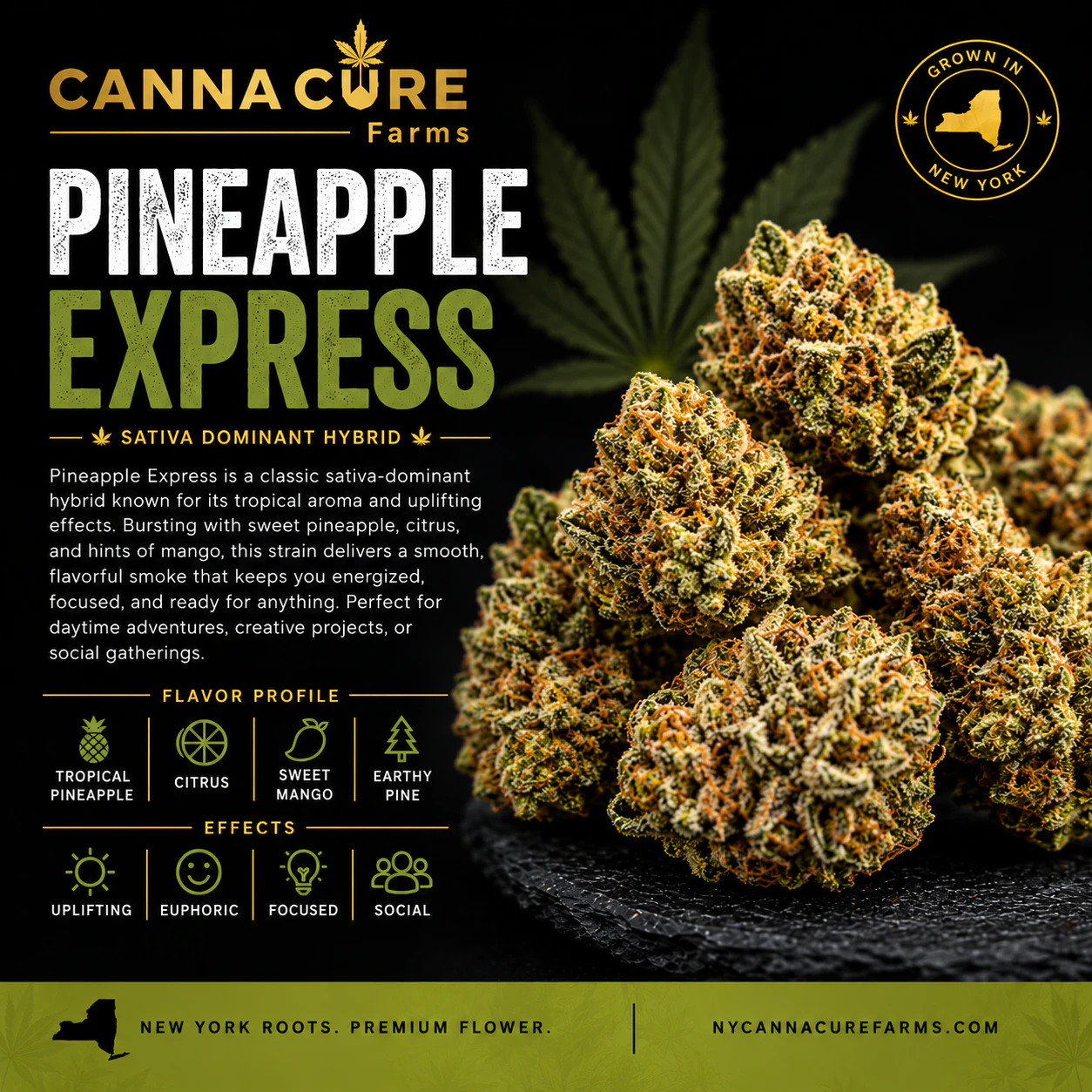 Canna Cure Farms LLC - Canna Cure | 0.7g Mylar Dime Bag | Pineapple Express Main Image