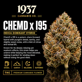 1937 | 3.5g Mylar | ChemD x I95