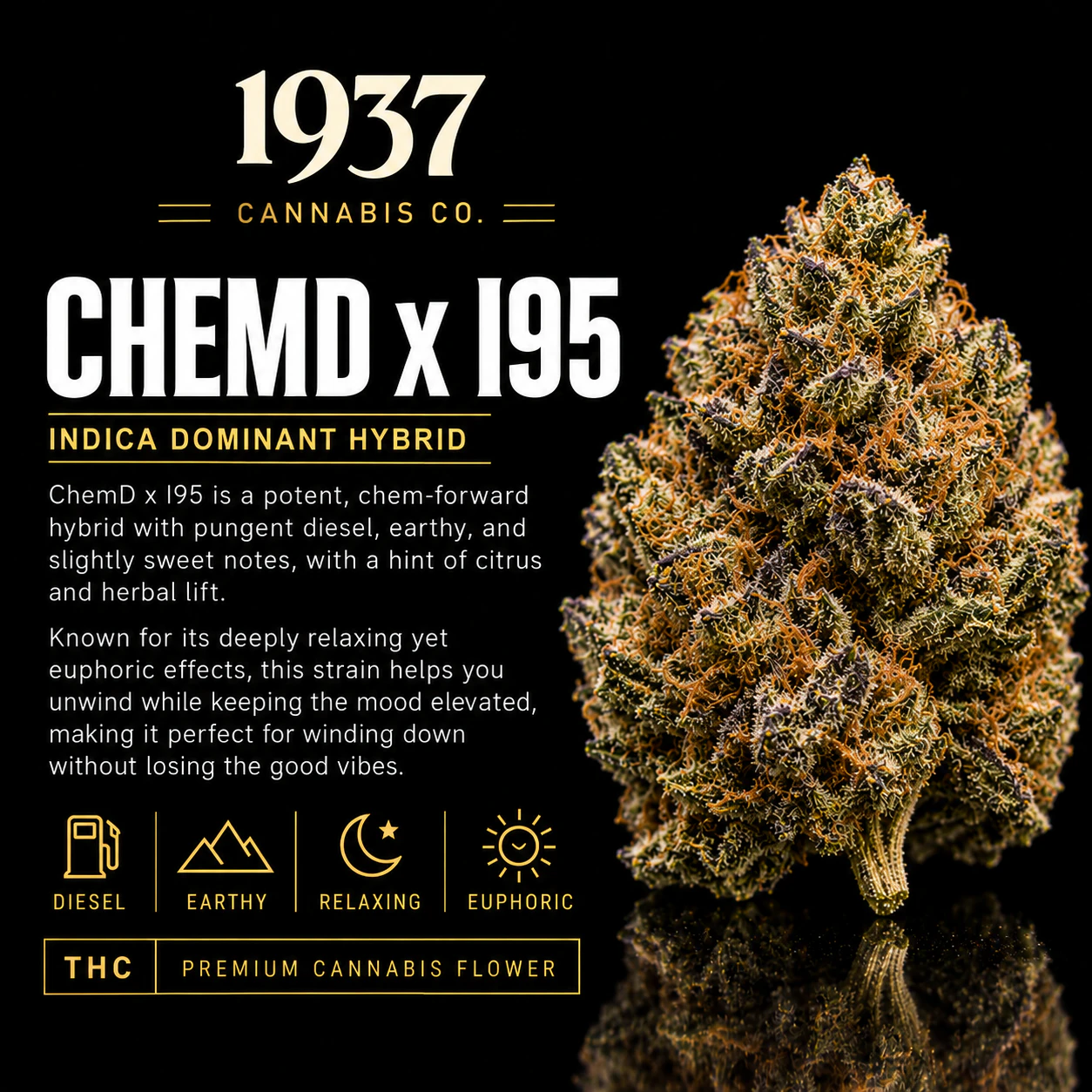 1937 - 1937 | 3.5g Mylar | ChemD x I95 Main Image