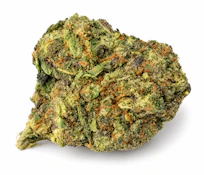Glue #31