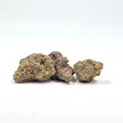 REGS Cheddar Cheeze Bud by LaHaze 1oz