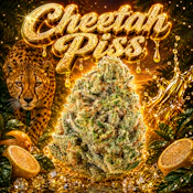 $5 Gram Cheetah Piss
