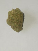 DPF - Cheetah Piss Flower (1oz) - Hybrid