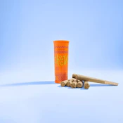 Albany Sour Diesel | Pre Rolls | 1g 7-pack | Cheevo