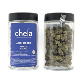 Jack Herer | 14g SMALLS Jar | Chela