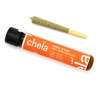 Chela Light - Black Garlic Gelato | 1g Pre-Roll | Chela Light